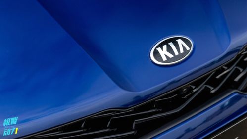 年度汽车可靠性排名生变，销量王者缘何沦为质量洼地？