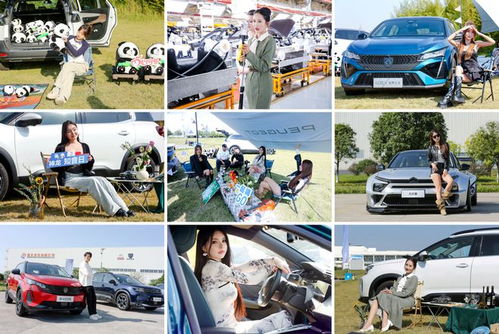 双十一搞厂家直销，壕礼连送12天，这家法系车企爱了爱了！